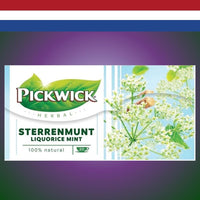 Pickwick Sterrentmunt Tea - 20 Cups
